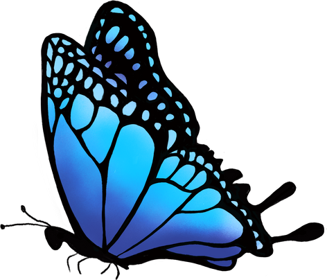 Blue butterfly